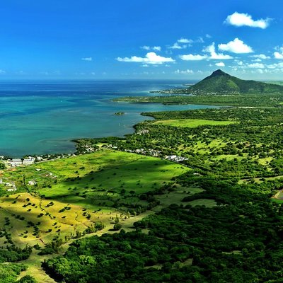 Ebony Forest Reserve Chamarel - Take a Hike Tour