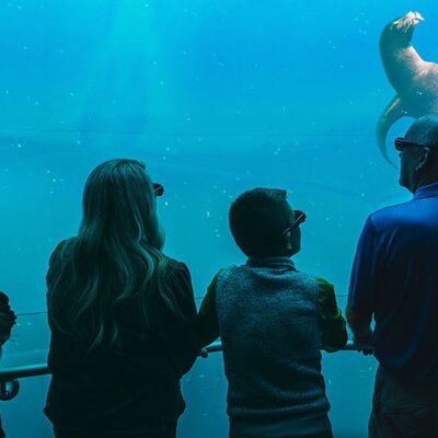 Xperia: Ocean Journey