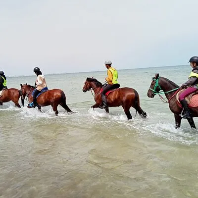 Horseback riding with private transfer