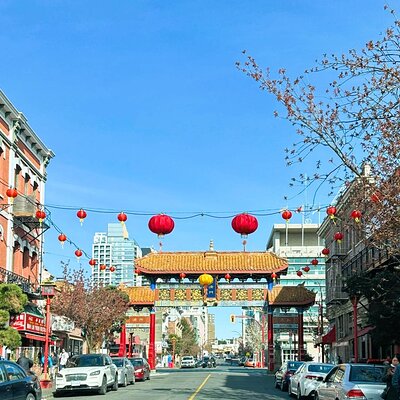 Victoria City Highlights: Chinatown, Craigdarroch Castle (1-6pax)