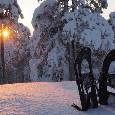 Explore Winter Woods: Snowshoe walk with local Biologist