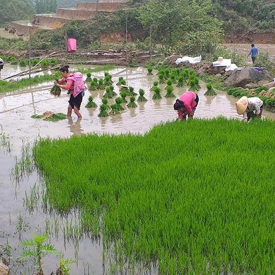 Vietnam Nomad Trails Day Tours