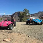 70'sbuggy
