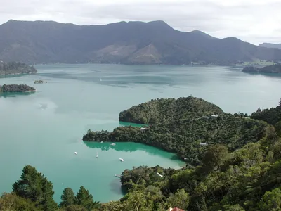 Full-Day Pelorus Mail Boat Cruise in Marlborough Sounds
