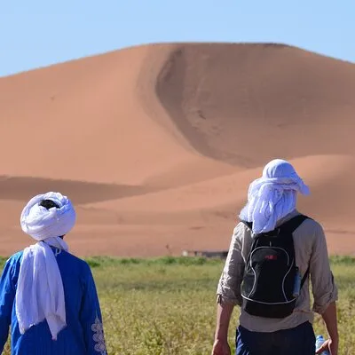 Desert Amnir Tours