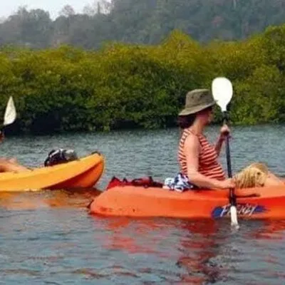 Mangroves Kayaking At Havelock
