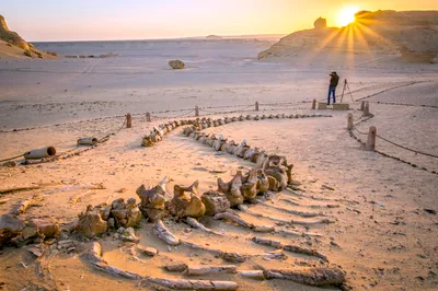 Fayoum Desert 4x4 Safari with Camel Ride, Magic Lake, Waterfalls and Lunch from Cairo