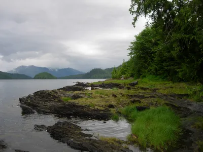 Misty Fjords National Monument Floatplane Tour in Ketchikan