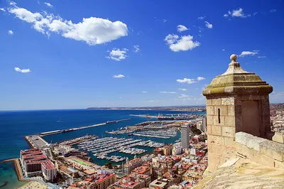 Alicante Paella Cooking Class with Tapas, Drinks and Marketplace Visit