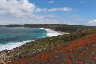 Kangaroo Island 2-Hour Swim with Dolphins, Seals and Coastal Snorkeling
