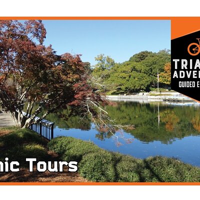 2 hour Guided E-Bike Tour: Greenery, Scenery and Mindfulness