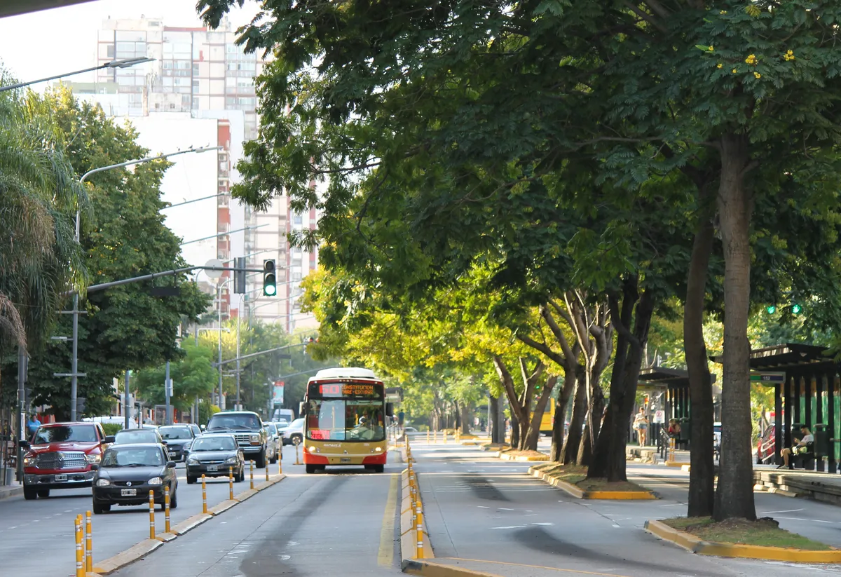 Buenos Aires Early Tango Dinner Show with Optional Traditional Bus Transfer