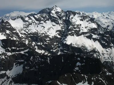 Anchorage Wildlife and Glaciers Tour with Rainforest Visit