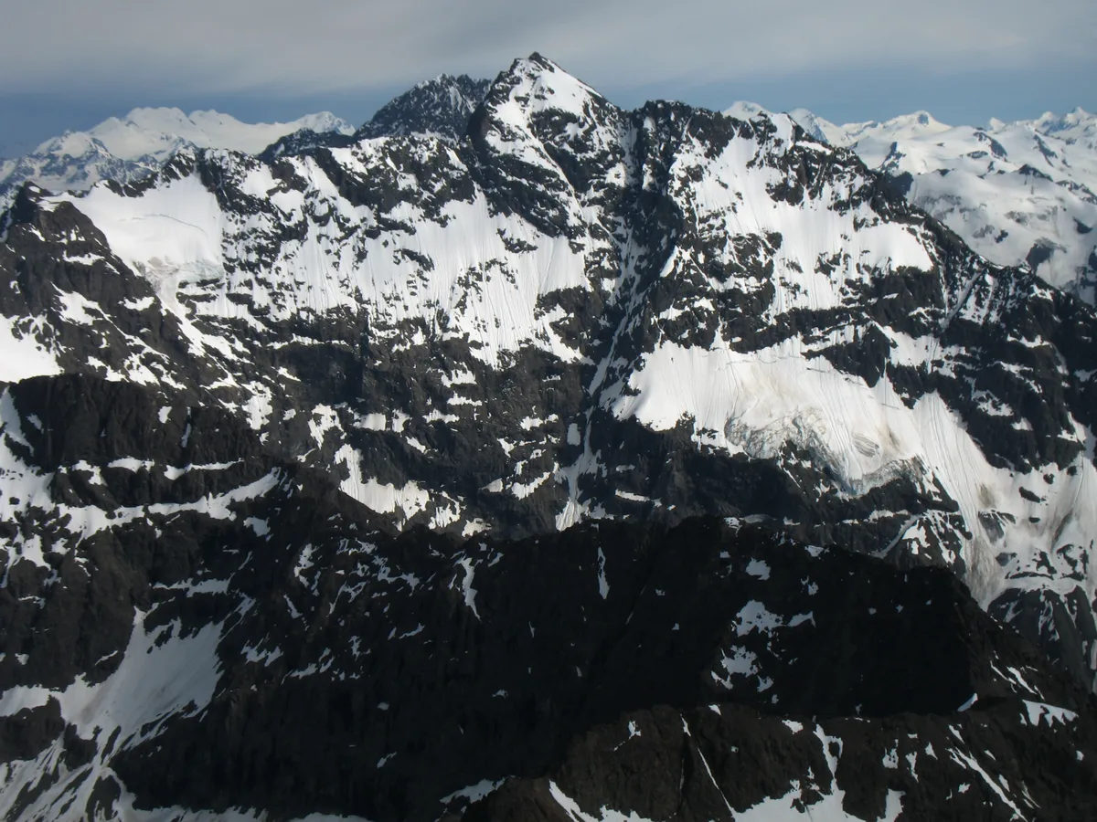 Anchorage Wildlife and Glaciers Tour with Rainforest Visit