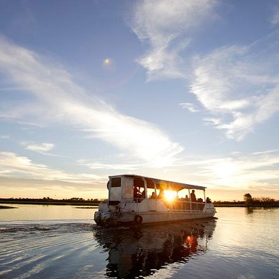 Yellow Water Cruise - Kakadu