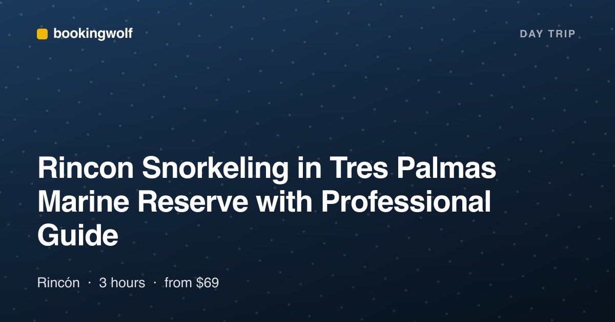 Rincon Snorkeling in Tres Palmas Marine Reserve with Professional Guide