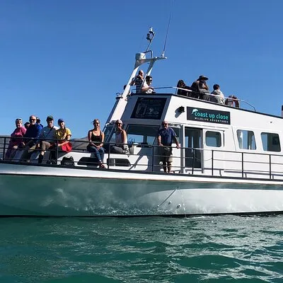 Akaroa Wildlife Cruise