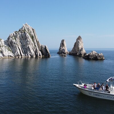 Boat tour all along Conero Riviera