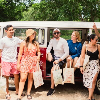 Cenotes roadtrip in classic van
