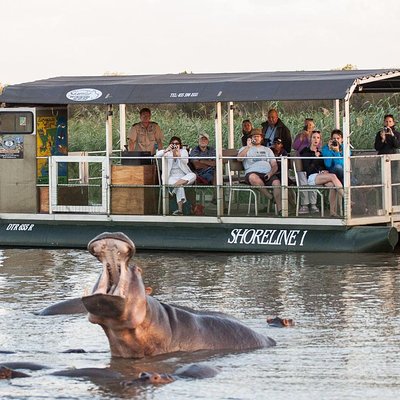 Shoreline Hippo and Crocodile Boat Cruises, iSimangaliso Wetland Park