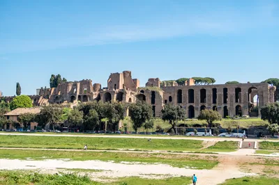 Ancient Rome Guided Tour in Rome: Colosseum, Roman Forum, Palatine Hill with Pick Up