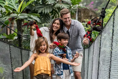 Bali Bird Park Admission Ticket with 4D Movie, Bird Shows and Feeding Sessions in Ubud