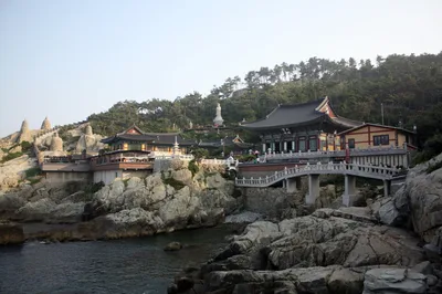 Busan Full-Day City Highlights Tour: Haedong Yonggungsa, Cheongsapo Daritdol, Blue Line Park, UN Cemetery