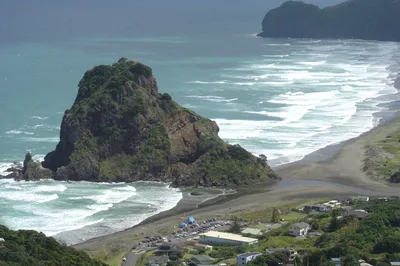 Waitakere Rainforest Piha Beach Soljans Estate and Kumeu River Winery Wine Tour from Auckland