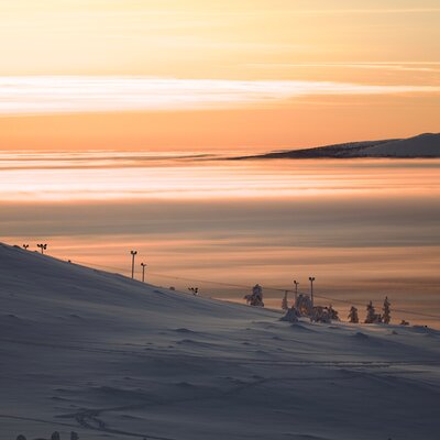 Levi Arctic Snowshoe Experience