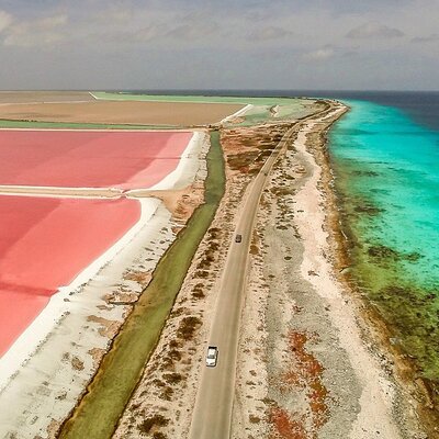 Bonaire Tours Center