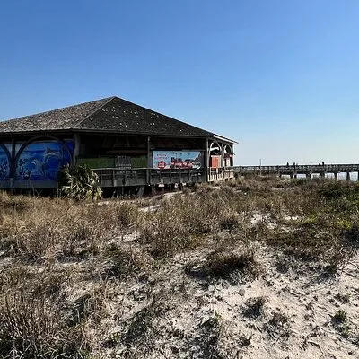 Pub Cart Crawl of Tybee Island, Drink like a Local