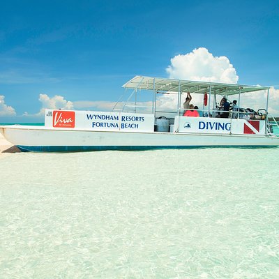Reef Oasis Viva Bahamas