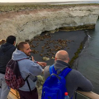 Shore Tour Punta Loma & city tour cruise passengers Puerto Madryn