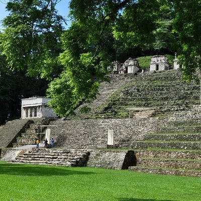 Selva Azul