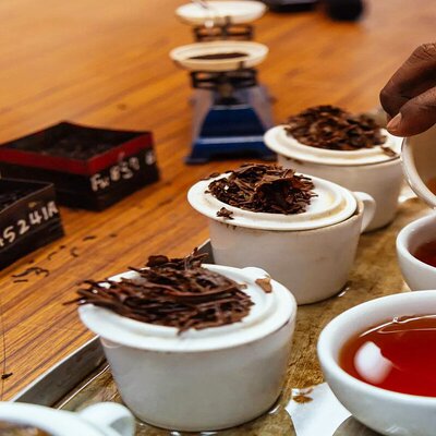 Ceylon Tea Tasting from Nuwara Eliya