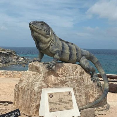 The Best of Isla Mujeres Private Walking Tour
