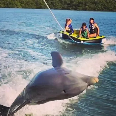 Marco Island Private Tubing, Dolphin Watching and Shelling Tour