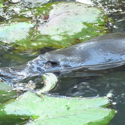 Vision Walks - Eco Tours