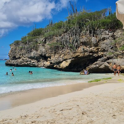 D envision : exclusive tours & events