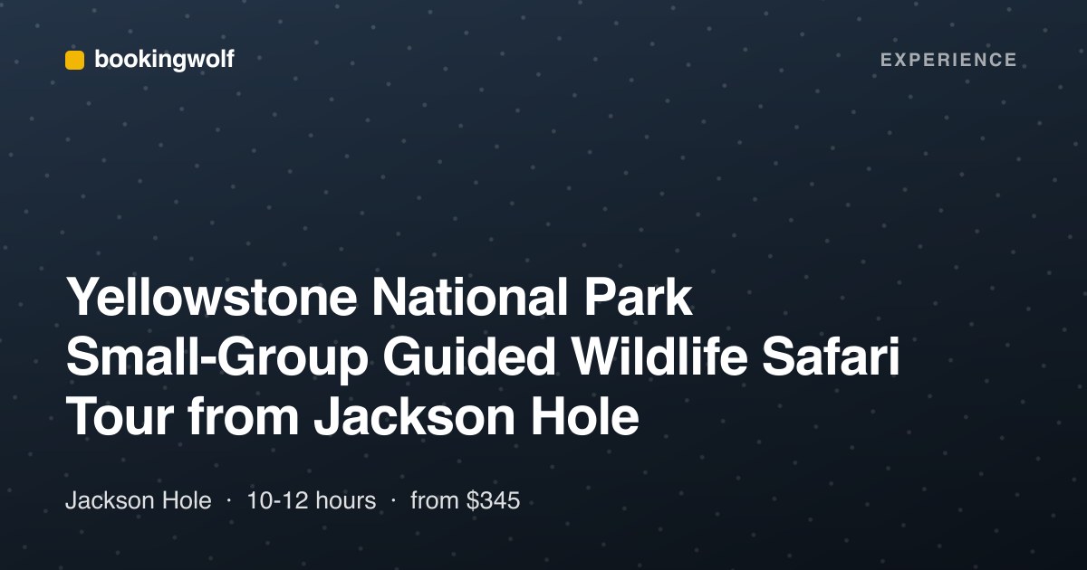 Yellowstone National Park Small-Group Guided Wildlife Safari Tour from Jackson Hole