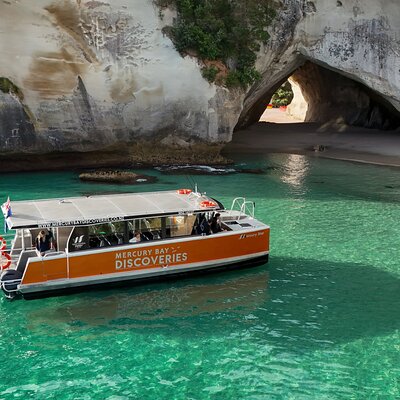 Cathedral Cove Coast and Cave Activity