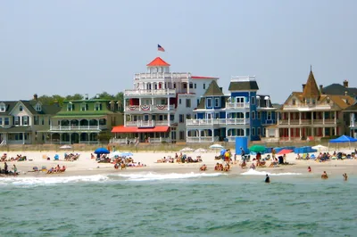 Whale and Dolphin Watching Cruise from Cape May
