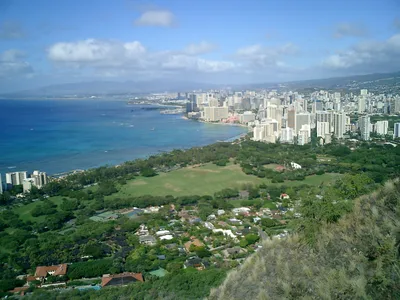 Oahu Half-Day Scenic Tour with 7 Lookouts and Views