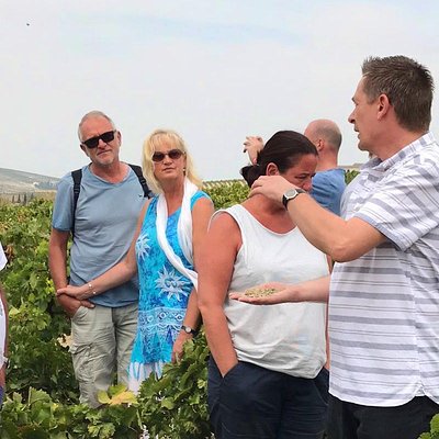 Sherry Experience in the Vineyard