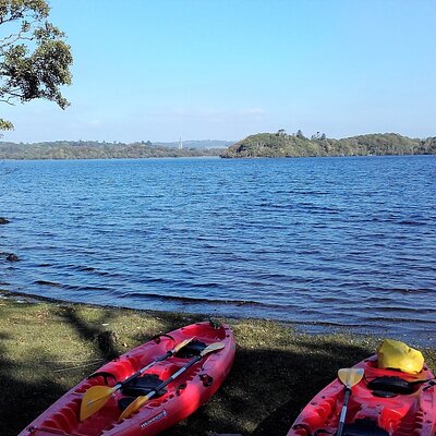 Kayak to Innisfallen island. Killarney. Guided. 2½ hours.