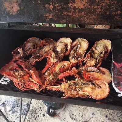 Salt Life Tours Antigua