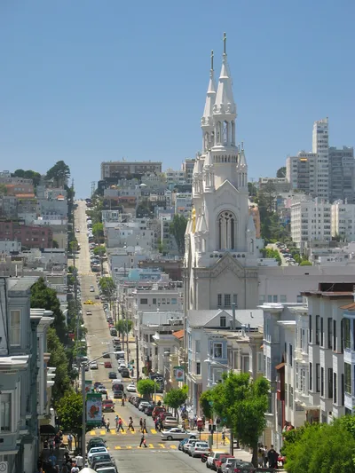 San Francisco City Tour, Muir Woods, and Sausalito Day Trip