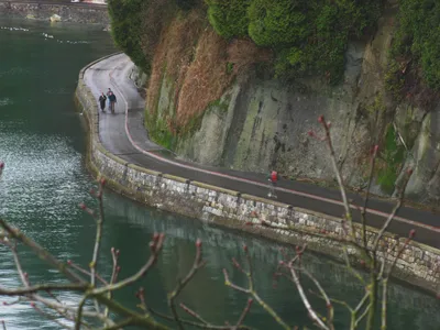 Vancouver Post-Cruise Tour with Stanley Park, Lookout & Capilano Suspension Bridge