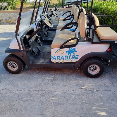Paradise Carts