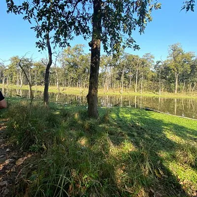 2 Hours Nature Walk in Chitwan National Park